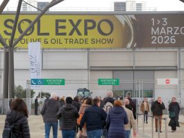 SOL Expo cresce e si rafforza, l’olio made in Italy fa sistema a Veronafiere