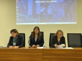 “Una casa per tutti”, Straface incontra gli Ambiti territoriali sociali