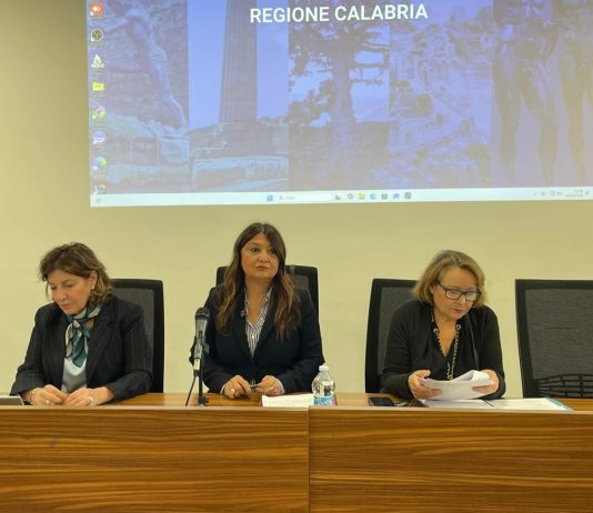 “Una casa per tutti”, Straface incontra gli Ambiti territoriali sociali