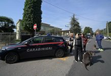 Insegnante di scuola media accoltellata da uno studente nel Bergamasco. Valditara “Non è in pericolo di vita”
