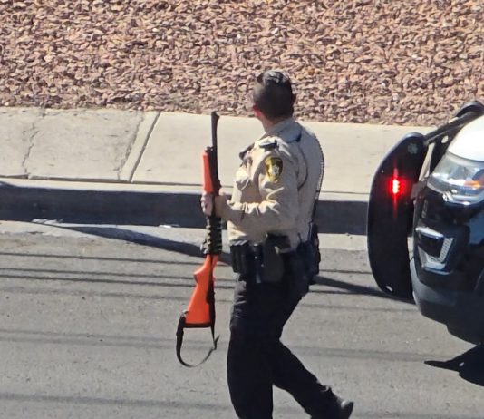 Usa, sparatoria in una sinagoga in Michigan: ucciso l’assalitore