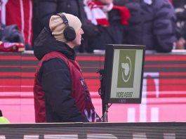 Germany, masked fan unplugs VAR before an on-field review