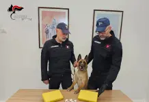 Maxi sequestro di cocaina a Palermo, stop ad un giro da 300 mila euro