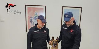 Maxi sequestro di cocaina a Palermo, stop ad un giro da 300 mila euro