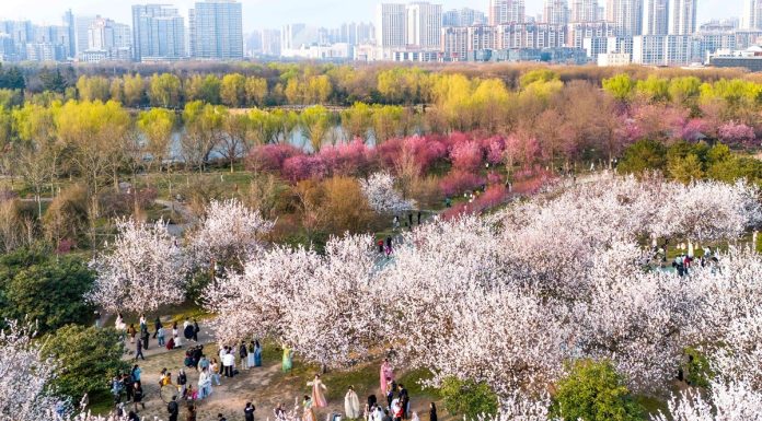 Cina: le foto del paesaggio primaverile nello Shaanxi (1)