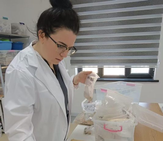 Cina: dall’Italia a Xi’an, il viaggio di un’archeologa lungo la Via della seta