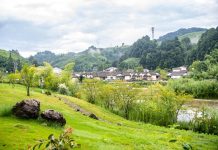 Cina: nei prossimi cinque anni verrà promosso lo sviluppo sostenibile