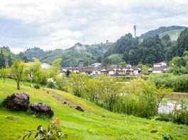 Cina: nei prossimi cinque anni verrà promosso lo sviluppo sostenibile