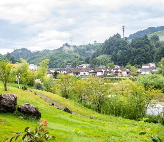 Cina: nei prossimi cinque anni verrà promosso lo sviluppo sostenibile