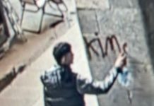 Milano, imbrattata la stele con la poesia di Primo Levi: individuato l’autore