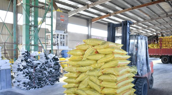 Cina: Heilongjiang, preparativi per aratura primaverile (1)