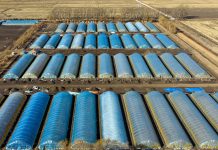 Cina: Heilongjiang, preparativi per aratura primaverile (2)