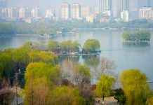 Cina: il paesaggio primaverile del lago Daming attira i turisti (1)