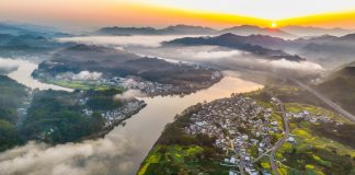 Cina: comincia la fioritura lungo il fiume Xin’an (1)