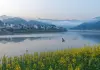 Cina: comincia la fioritura lungo il fiume Xin’an (3)