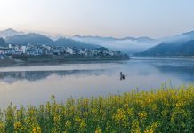 Cina: comincia la fioritura lungo il fiume Xin’an (3)