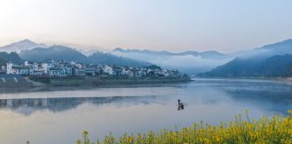 Cina: comincia la fioritura lungo il fiume Xin’an (3)