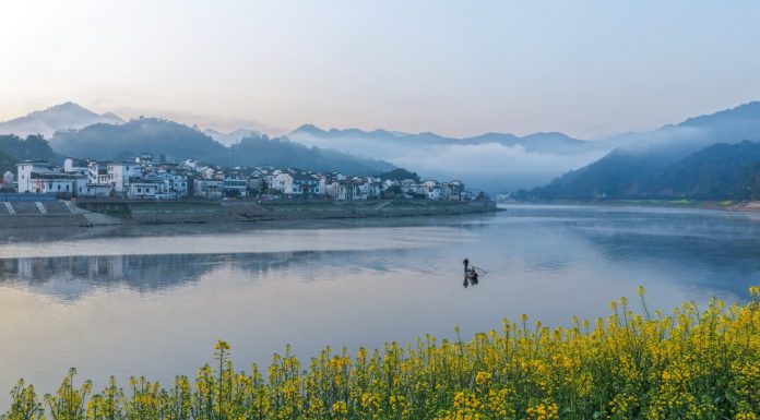 Cina: comincia la fioritura lungo il fiume Xin’an (3)