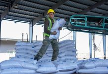 Cina: Heilongjiang entra nella stagione di punta della spedizione di prodotti agricoli (2)