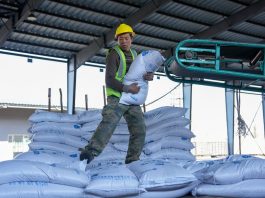 Cina: Heilongjiang entra nella stagione di punta della spedizione di prodotti agricoli (2)