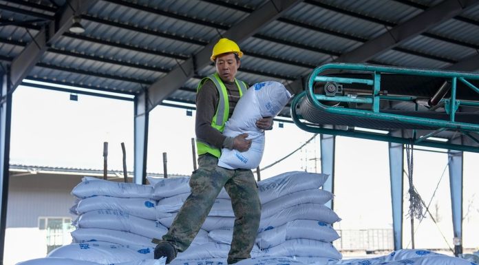 Cina: Heilongjiang entra nella stagione di punta della spedizione di prodotti agricoli (2)