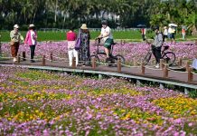 Cina: BFA, conferenza annuale in programma dal 24 al 27 marzo (2)