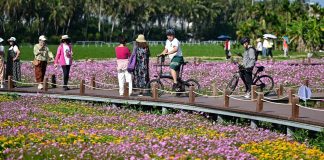 Cina: BFA, conferenza annuale in programma dal 24 al 27 marzo (2)