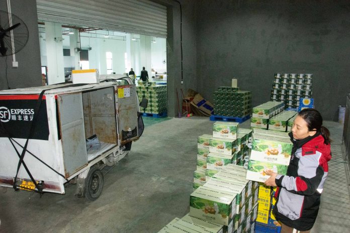 WhatsApp Image 2026-03-20 at 15.39.08