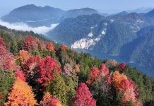 La Cina registra progressi costanti nel rinverdimento del territorio