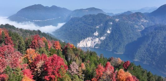 La Cina registra progressi costanti nel rinverdimento del territorio