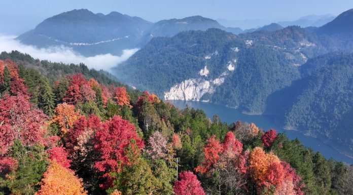 La Cina registra progressi costanti nel rinverdimento del territorio