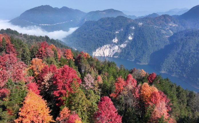 WhatsApp Image 2026-03-20 at 15.48.41