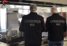 Operazione “Mense Ospedaliere” dei Nas in Campania: 18 strutture su 22 non a norma