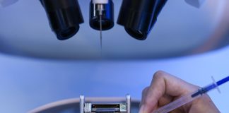 Cina: Pechino, a ZGC Forum 2026 esposti oltre 560 prodotti e tecnologie (3)