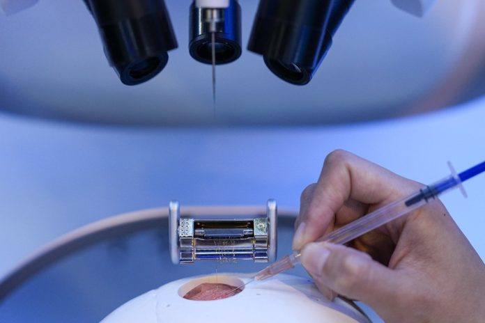 WhatsApp Image 2026-03-28 at 11.13.56