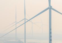 Cina: Heilongjiang esplora nuovi percorsi per lo sviluppo ecologico (1)