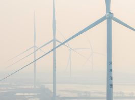 Cina: Heilongjiang esplora nuovi percorsi per lo sviluppo ecologico (1)