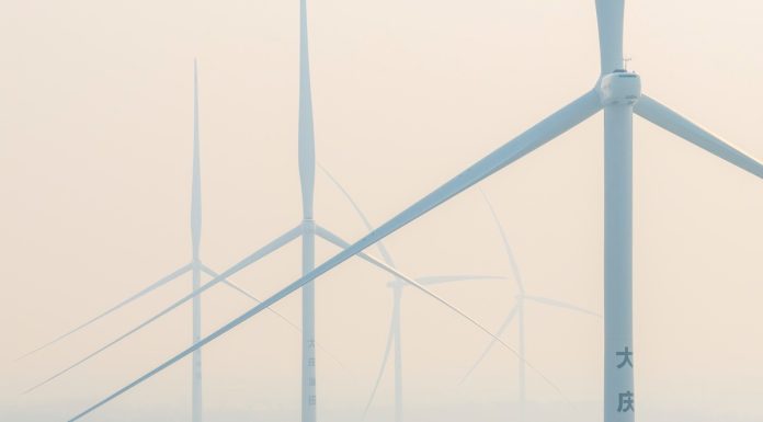 Cina: Heilongjiang esplora nuovi percorsi per lo sviluppo ecologico (1)