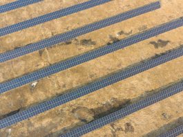 Cina: Heilongjiang esplora nuovi percorsi per lo sviluppo ecologico (3)