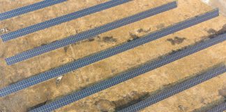 Cina: Heilongjiang esplora nuovi percorsi per lo sviluppo ecologico (3)