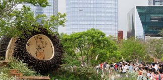 Cina: a Shenzhen apre la mostra floreale della Greater Bay Area (2)