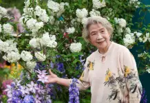 Cina: a Shenzhen apre la mostra floreale della Greater Bay Area (3)