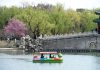 Cina: turisti al Longtan Park di Pechino per le prime giornate di primavera (1)
