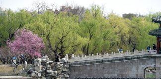 Cina: turisti al Longtan Park di Pechino per le prime giornate di primavera (1)