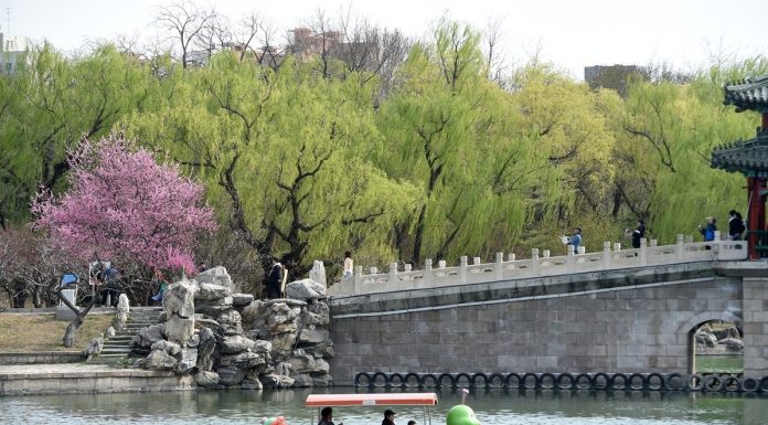 Cina: turisti al Longtan Park di Pechino per le prime giornate di primavera (1)