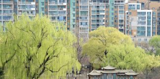 Cina: turisti al Longtan Park di Pechino per le prime giornate di primavera (2)