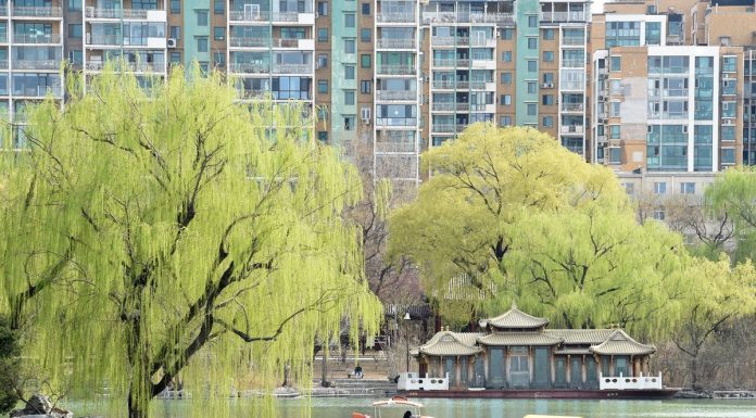 Cina: turisti al Longtan Park di Pechino per le prime giornate di primavera (2)