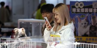 Cina: a Lanzhou apre la fiera degli animali da compagnia (2)