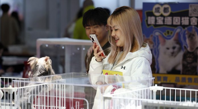 Cina: a Lanzhou apre la fiera degli animali da compagnia (2)