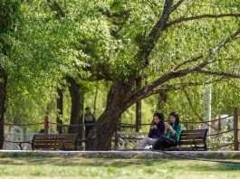 Cina: Dongcun rilancia l’economia locale con il turismo rurale (2)